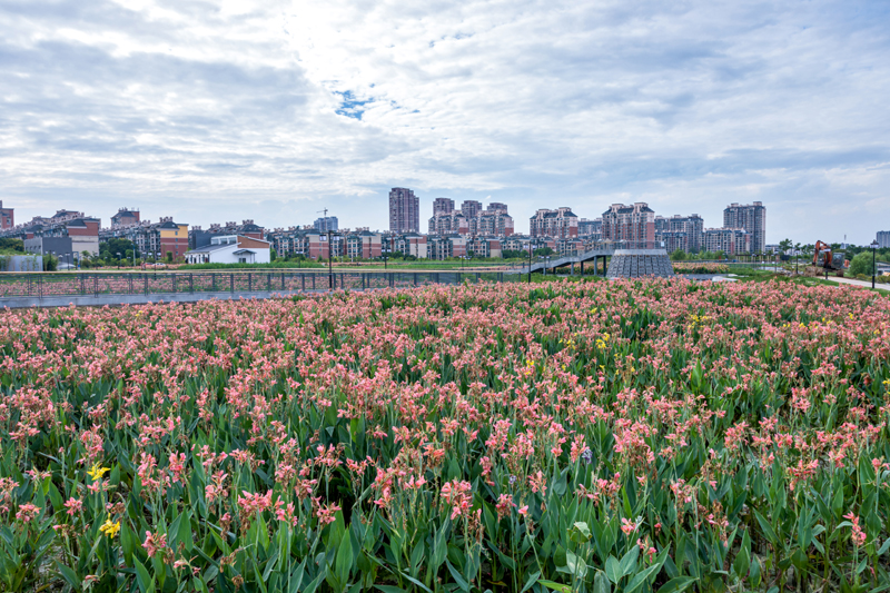 马鞍山慈湖河湿地建成后.jpg