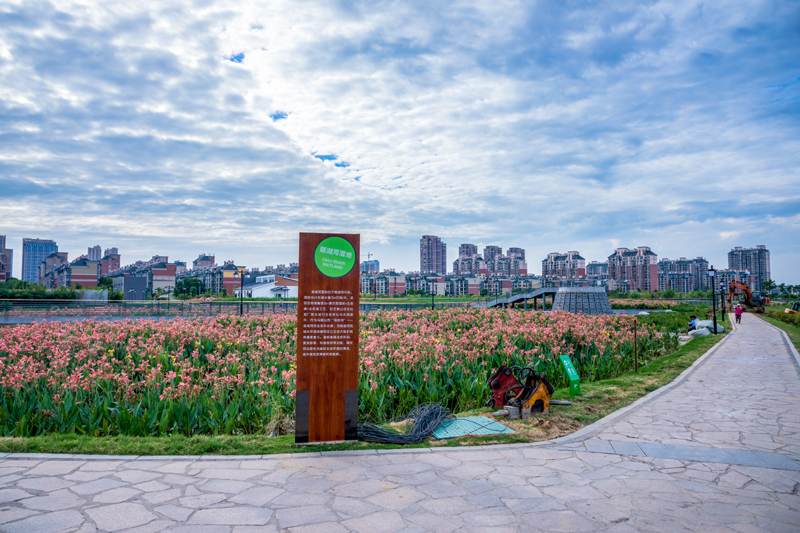 马鞍山慈湖河湿地建成后5.jpg
