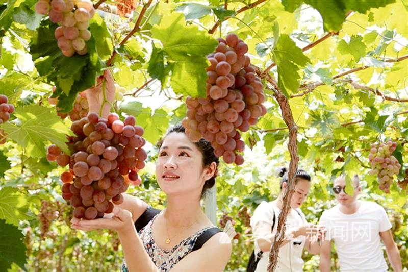 重新曝光 l_CB20190729141940293072_02.tif.jpg