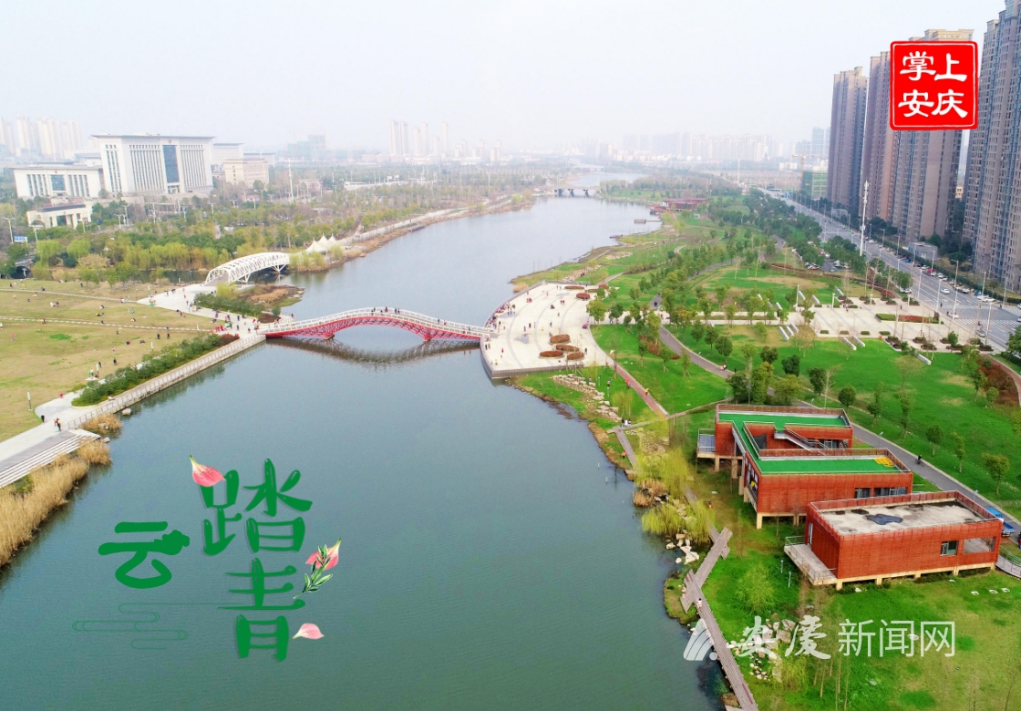 公园迎江区长风乡联兴村大观区海口镇拍摄:安报全媒体记者 路欣安庆