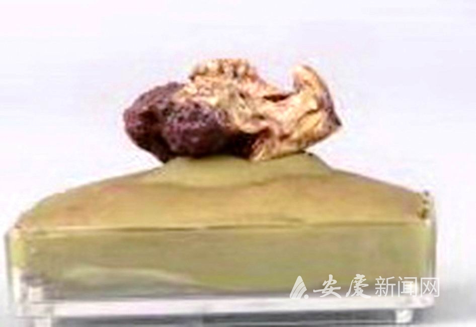 重新曝光 572b79e1ef9b0214051aa7fa513358c9.jpg