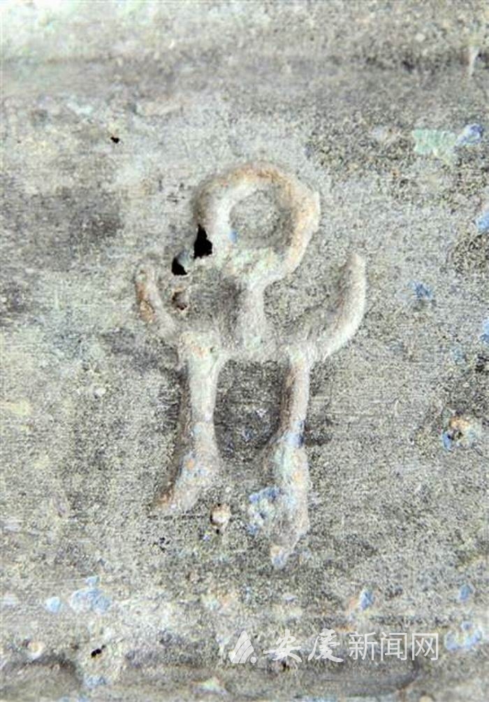 调整大小 重新曝光 l_CB20200531102317371088_02.tif.jpg