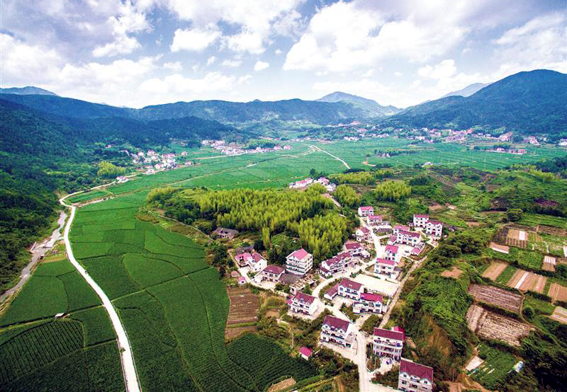 发放纪念章  .jpg