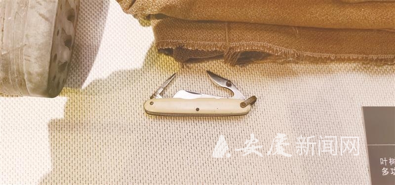 发放纪念章  .jpg