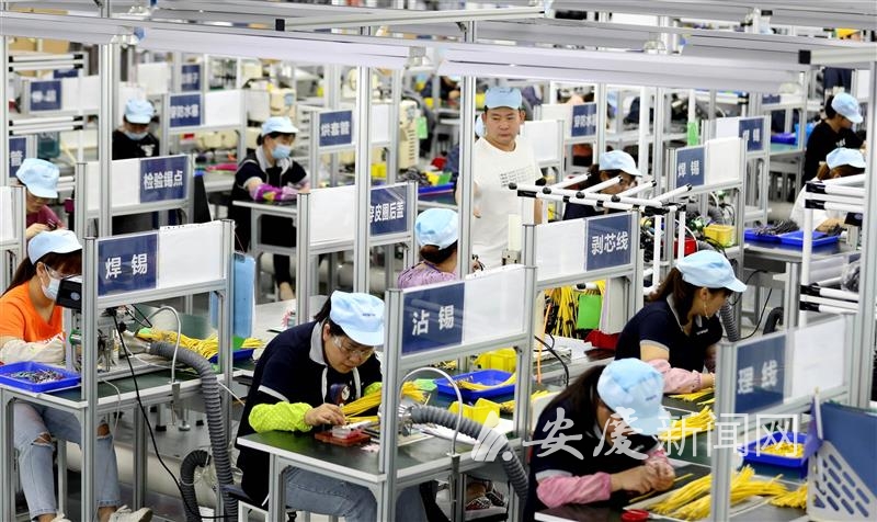 0943403580978276.jpg 1736269811096928.jpg