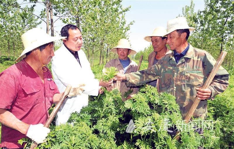 0856146505498691.jpg 1736269811096928.jpg