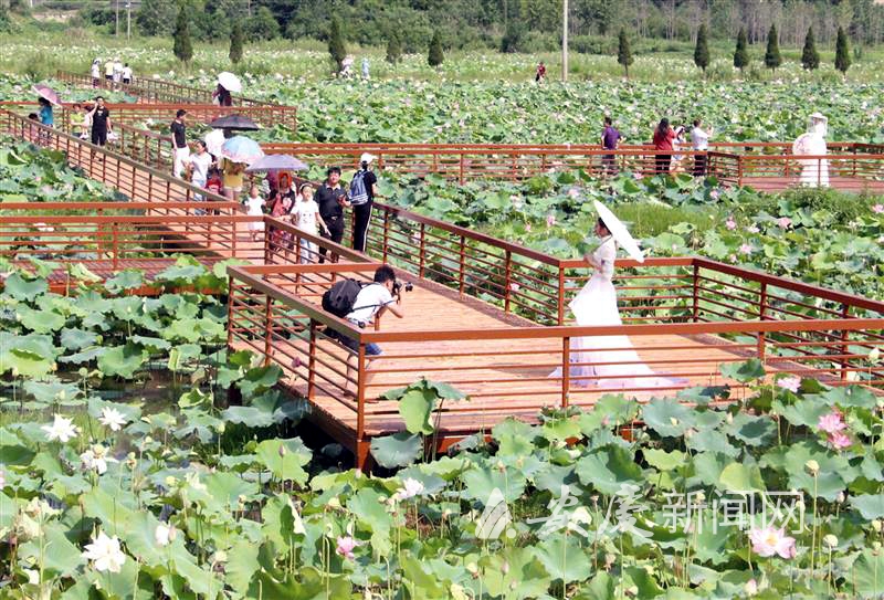 0916137383854711.jpg 微信图片_20210714151132.jpg