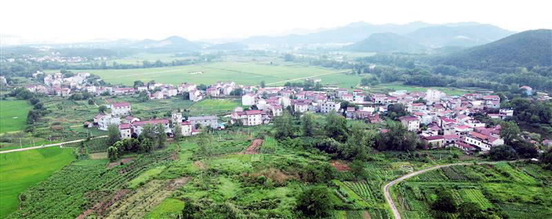 0949242150018202.jpg 截图20210828130452073.jpg