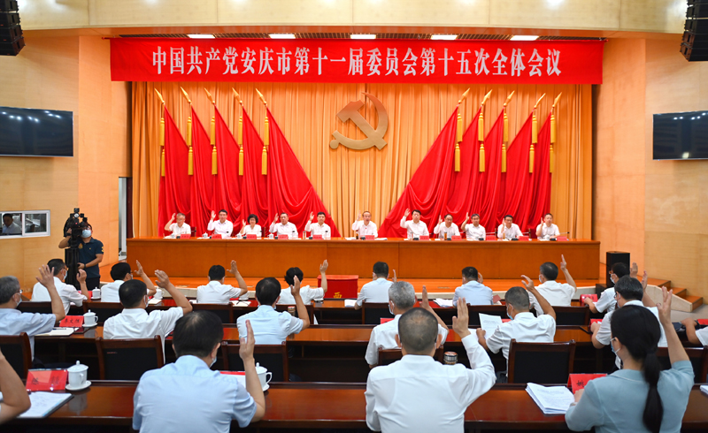 举手表决.jpg
