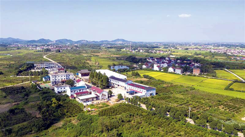 QQ图片20211007103601.jpg