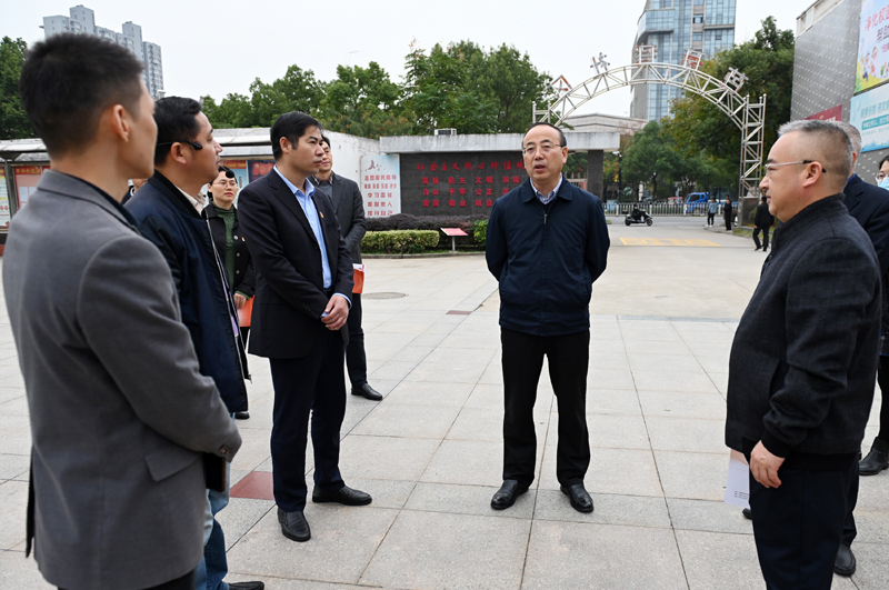 10月19日，张书记调研宜秀区大桥街道芭茅巷社区.jpg.jpg