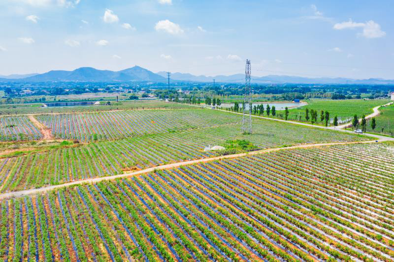 微信截图_20211020093549.png