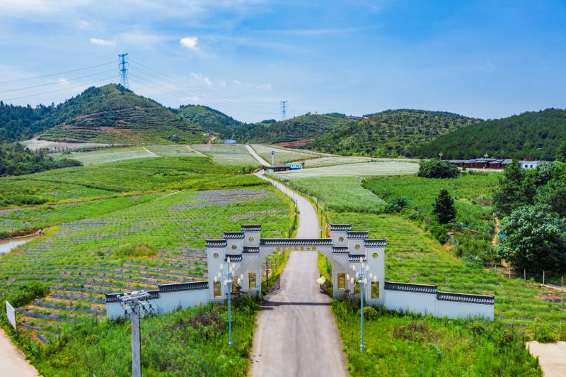 微信截图_20211020093549.png