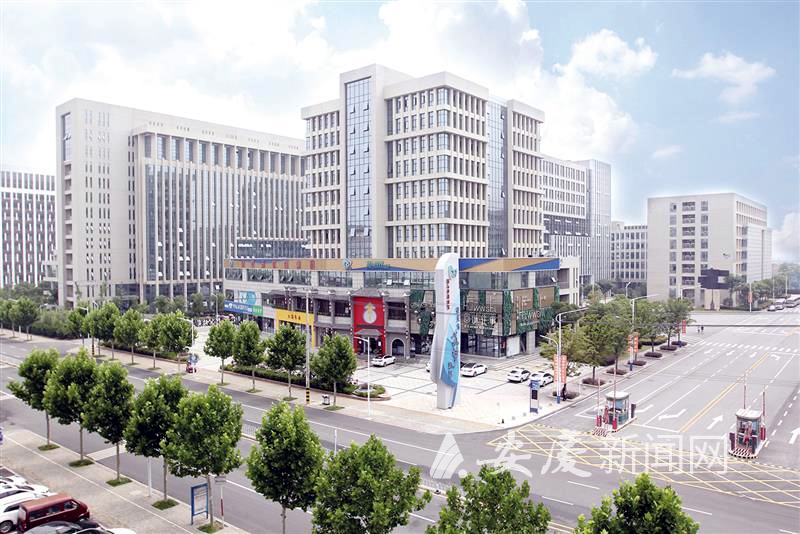 0938418622780559.jpg 11.jpg