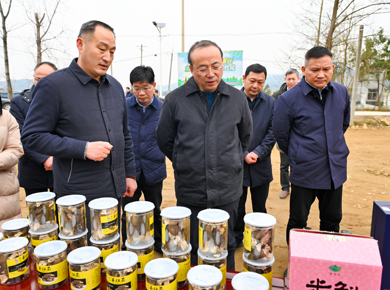 调研隘口村产业发展基地。.jpg