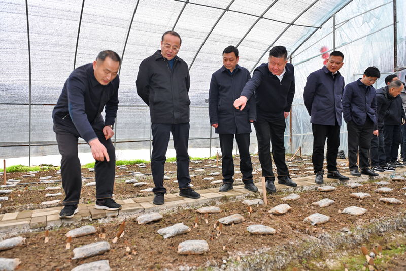 调研隘口村产业发展基地.jpg