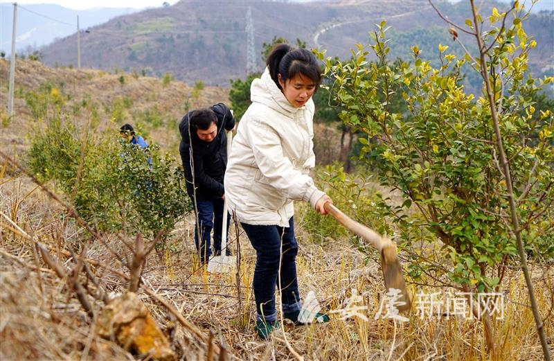 0940016624903637.jpg 11.jpg