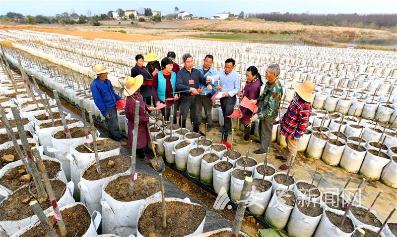 0909097080041767.jpg 11.jpg