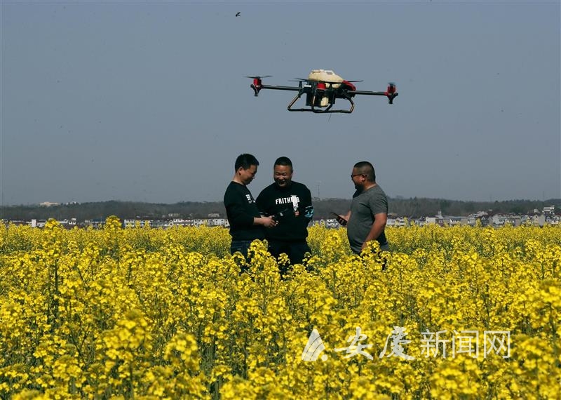 0908147983370214.jpg 12.jpg