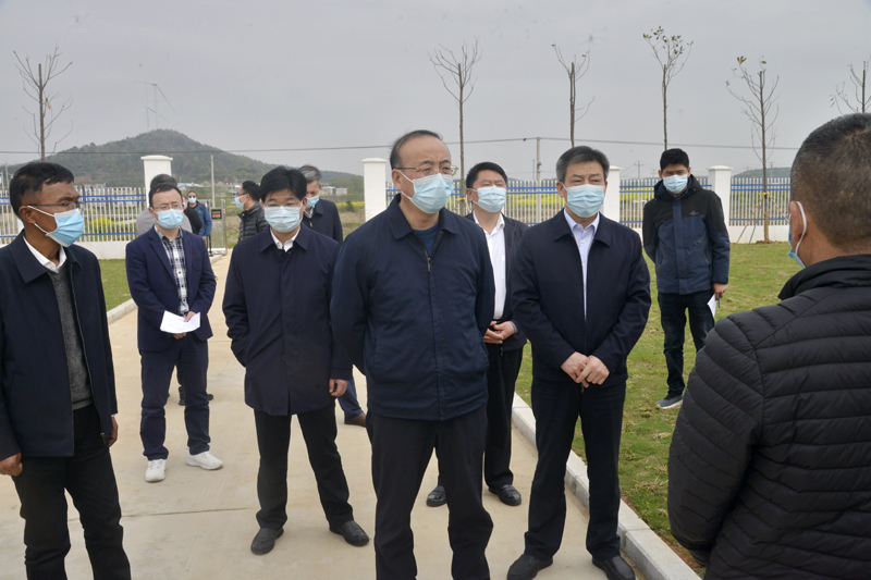 3月18日，市委书记张祥安在太湖县调研徐桥镇创业村。全媒体记者  王政 摄.JPG