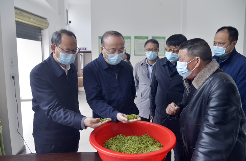 3月19日，市委书记张祥安在岳西县调研菖蒲镇水畈村仙缘翠茶叶有限公司。全媒体记者  王政 摄.JPG