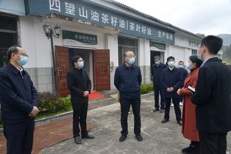 3月19日，市委书记张祥安在岳西县调研田头乡康生源生态农业有限公司。全媒体记者  王政 摄.JPG