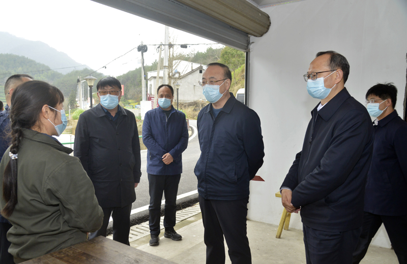 3月19日，市委书记张祥安在岳西县菖蒲镇毛畈村走访慰问结对联系户。全媒体记者  王政 摄.JPG