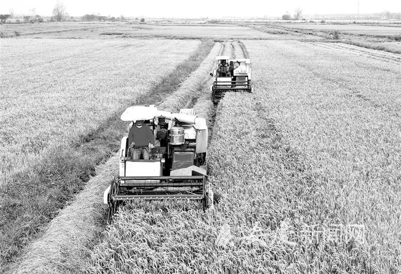 0912375003576098.jpg 13.jpg