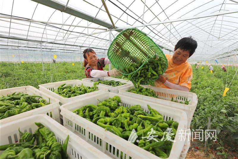 6月23日，双月企业家座谈会召开.jpg.jpg