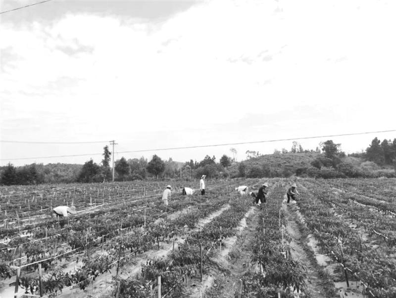 1007146062489846.jpg 13.jpg