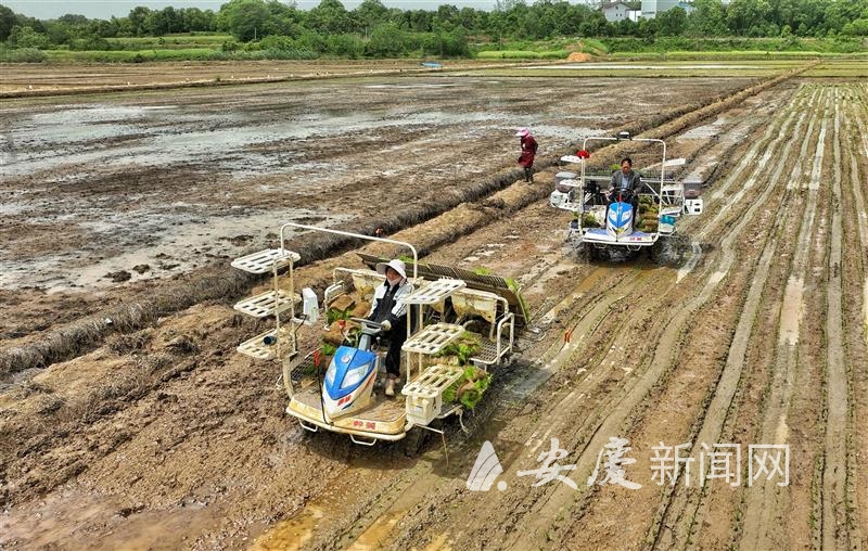 1014121639607824.jpg 15.jpg