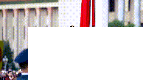 tu1.gif 图片