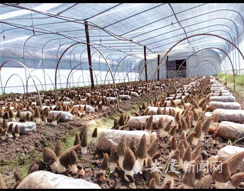 1014226916473466.jpg 15.jpg