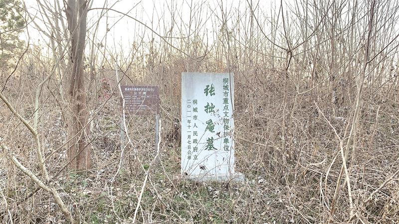 1030303156179502.jpg 彩色.jpg