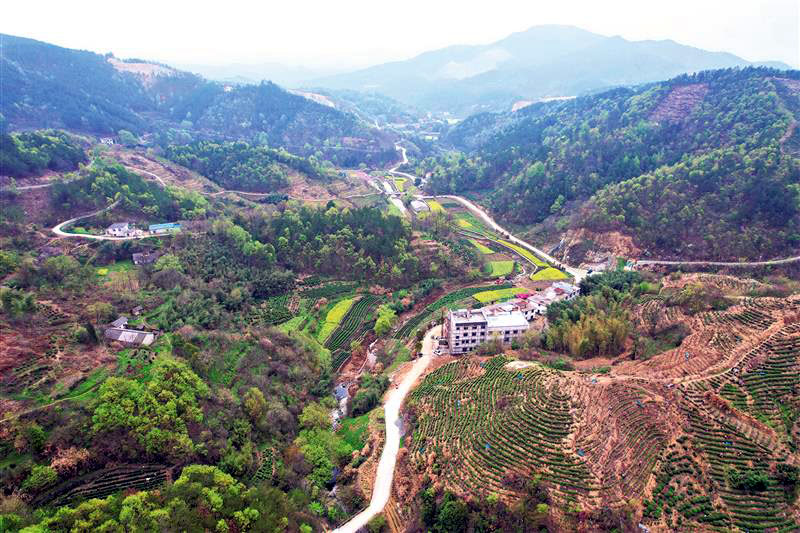 0951394492959157.jpg 14.jpg