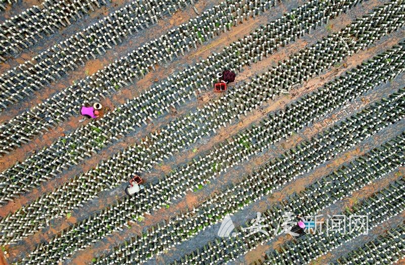 0925206292692759.jpg 14 拷贝.jpg