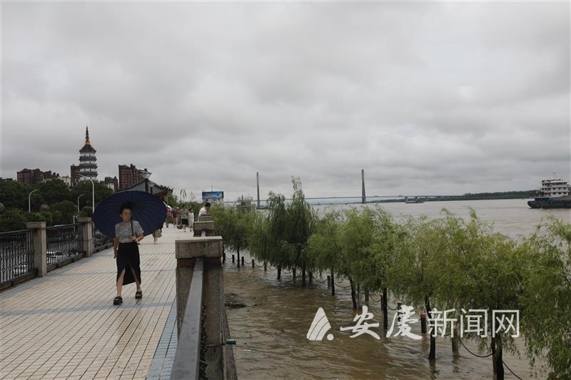 1030143050049539.jpg 14 拷贝.jpg