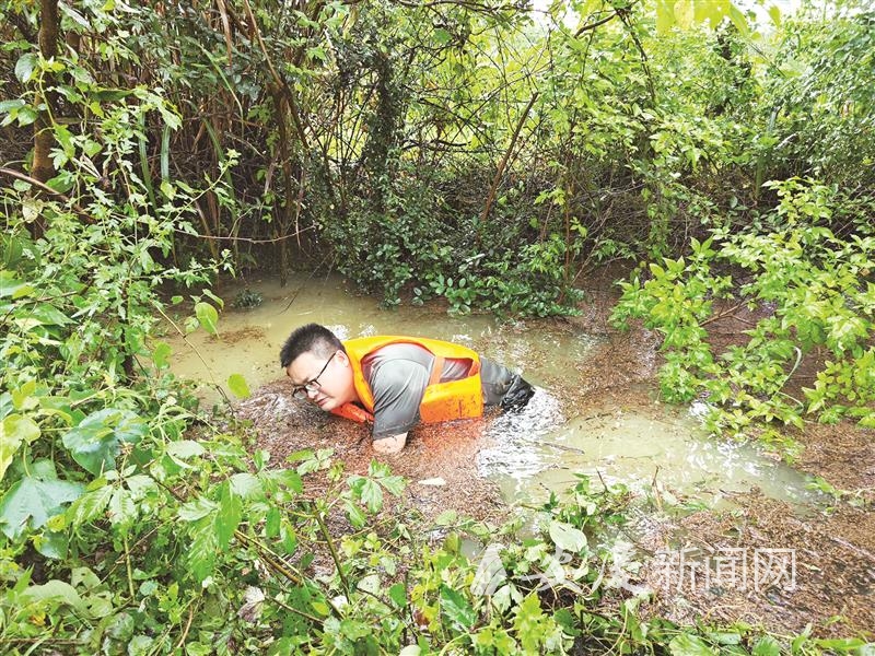 1000321064536453.jpg 14 拷贝.jpg