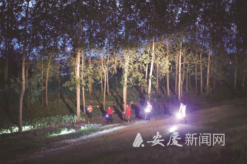 1001009694438726.jpg 14 拷贝.jpg