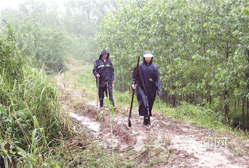 1004152395151221.jpg 14 拷贝.jpg