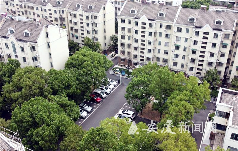 0955157155887890.jpg 11.jpg