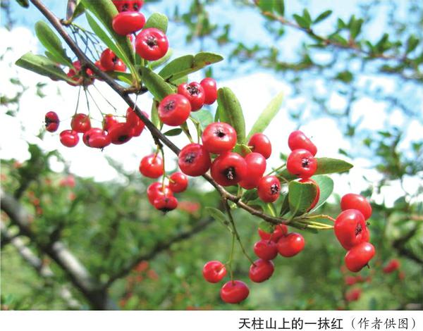 天柱山002.jpg