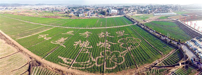 0943233687525066.jpg 14.jpg