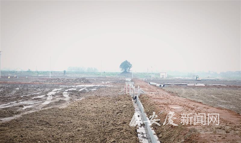 0951014005959975.jpg 14 拷贝.jpg