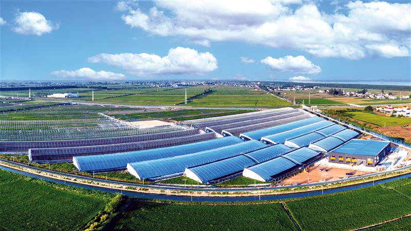 1014402453197893.jpg 14 拷贝.jpg