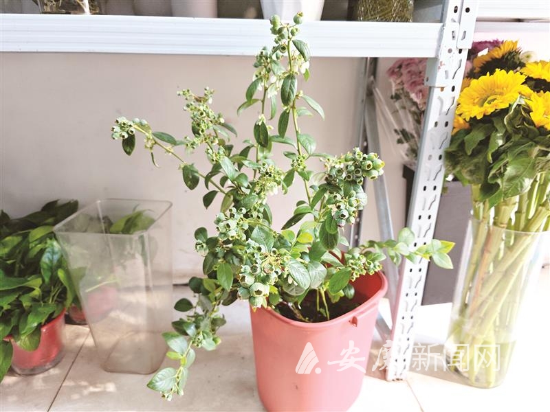 1022168517512992.jpg 14 拷贝.jpg