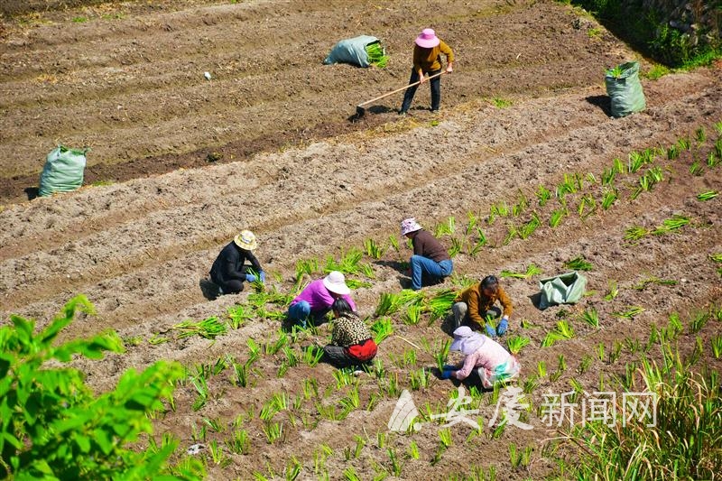 1003014915512461.jpg d54849223019fe0040dd8114663881d.jpg