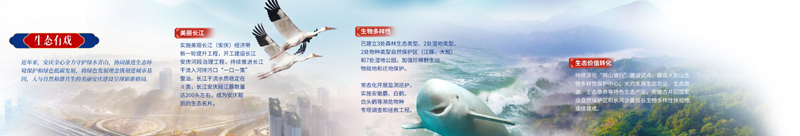 14 拷贝.jpg