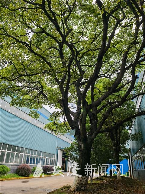 14 拷贝.jpg