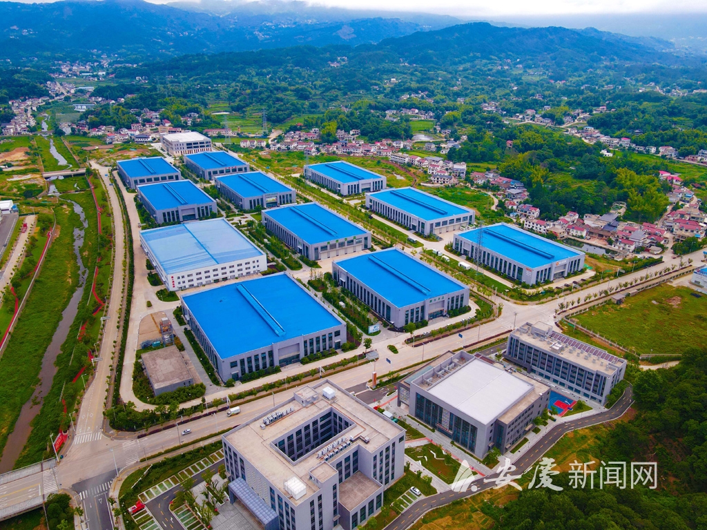 0833357963181399.jpg 11.jpg